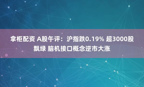 拿柜配资 A股午评：沪指跌0.19% 超3000股飘绿 脑机接口概念逆市大涨