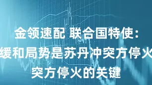 金领速配 联合国特使：对话与缓和局势是苏丹冲突方停火的关键