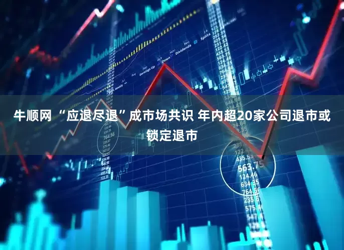 牛顺网 “应退尽退”成市场共识 年内超20家公司退市或锁定退市